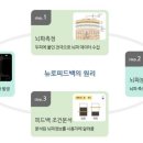 (주)브레인테크
