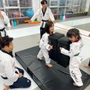 뿌리깊은나무태권도장 이미지