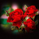 행복가득 이미지