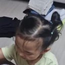 다온이네 이미지
