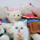 기대만족부산 - 강남구 학동로43길 38 | 기대만족부산