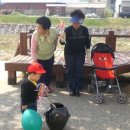 신송경로당 Daum카페