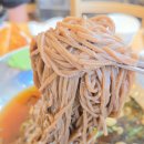 금화파크 | 발산역 돈까스 맛집 금화왕돈까스, 3명이 먹고도 남긴 푸짐한 한상(왕돈까스, 세숫대야모밀 후기)