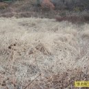 부용부동산공인중개사무소 이미지