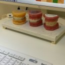 울산BS치과교정과치과의원 | 울산 삼산 치아교정전문 아이유치과 상담 내돈내산 솔직리뷰 할인꿀팁