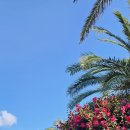 오늘도제주 이미지