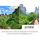 무릉도원 이미지