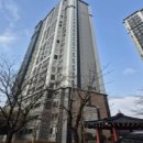 진흥더루벤스(아) 이미지