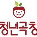 정직한 청년 이미지