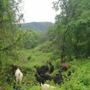 염소사육장 이미지