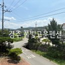 풀빛고운 이미지