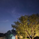 늘봄국수 | 말레이시아 핫플 쿠알라룸푸르 한식 늘봄가든 앵거스 갈빗살, 와규 꽃등심 후기, sentul park