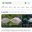 제트엠 | 2월블로그를7월에쓰는사람이있다?!?