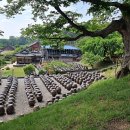 명재농장 이미지