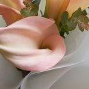 재화꽃집 이미지