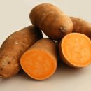 얌(YAM) 이미지