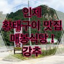 강원도인제황태식당 | 강원도 인제 매봉식당 황태구이 맛집 │ 고성 여행길 아침식사 추천