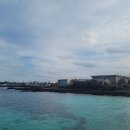 제주통큰장어 이미지