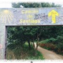 28Day(28Km Salceda - Santiago de compostela) 이미지