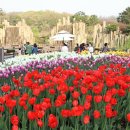 부천자연생태공원 이미지