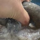 북항회타운 이미지