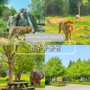 느림보코끼리 | 전주동물원 푸드코트 맛집 주차 관람 소요시간 총정리