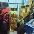 아라물텀벙 이미지