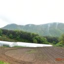박달4리 이미지