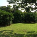 그린사이드펜션 이미지