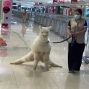 남천강변로 | 퇴사와 여름 사이, 수영인이 되겠다