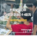꿈나무사회복지관프로그램1실 | [당감종합사회복지관] '초록빛 꿈나무' 아이들과 함꼐하는 아로마 클래스 1-4회차 후기