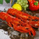 [완벽한 DX 가이드] R을 활용한 빅데이터 분석 | Neovim을 활용한 개발 생산성 극대화: LSP, 플러그인, 설정으로 나만의 IDE 구축