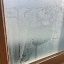 위닉스 뽀송 제습기 12리터 내돈내산 후기 TH120-NEK 물통 비움