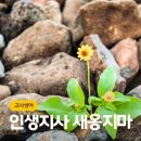 고사성어로 배우는 한자 이미지