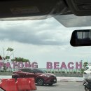 코끼리 | 푸켓 코끼리보호소 아이랑코끼리체험 내돈내산 후기