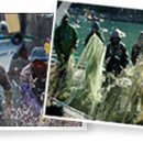 펜션빛뜨란 이미지