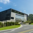 도그야 놀자 이미지