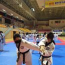 백인 합기도 이미지