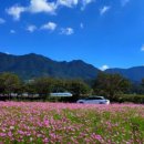 꽃단지 화장실 이미지