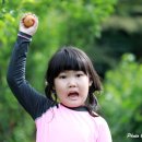 티하우스키즈펜션 이미지