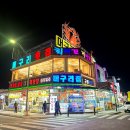 머구리 | 속초 대포항 맛집 머구리횟집 솔직후기! 신선도 끝판왕 활어회 내돈내산 리뷰