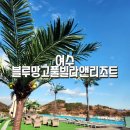 블루노래장 | <여수>여수 블루망고풀빌라리조트,여수이순신바게트,여수섬섬당,여수허니홈비,여수돌산치킨,여수수평선...
