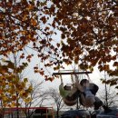 동덕초등 병설유치원 이미지