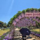 국화전시회 버스킹 문화공연 | 대전 아이랑 주말 나들이, 유성온천문화축제 생각보다 훨씬 좋았어요 🌸 (유성 봄꽃 전시회까지)