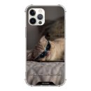 블루아트캣 이미지