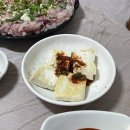 밀양 삼랑진맛집 콰이강의 다리 향어마을 향어회 존맛 내돈내산 솔직후기