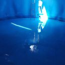 (주)예스 네이버블로그
