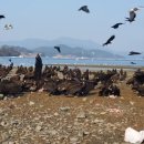 거제식당 이미지