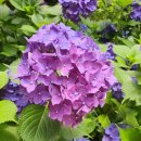 물무산행복숲둘레길 이미지