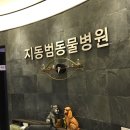 지동범 동물 안과 치과병원 이미지